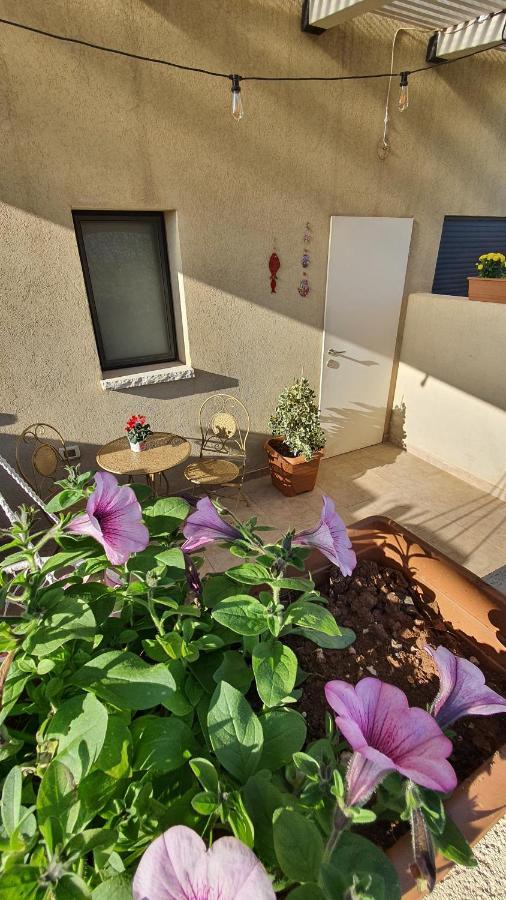 B Resort דירת נופש בדרום רמת הגולן Giv'at Yo'av المظهر الخارجي الصورة