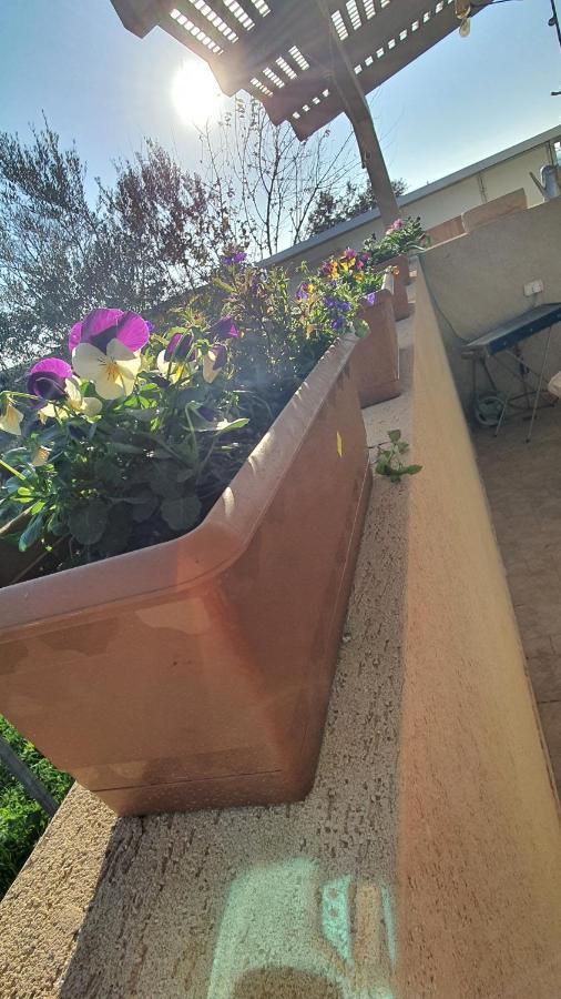 B Resort דירת נופש בדרום רמת הגולן Giv'at Yo'av المظهر الخارجي الصورة